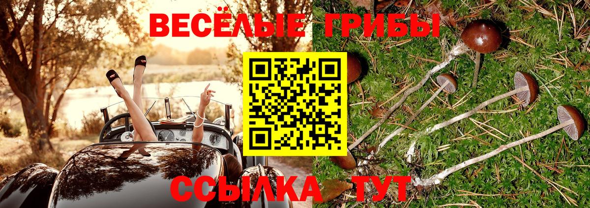 Ревда  Псилоцибиновые грибы мицелий  Вход с VPN 