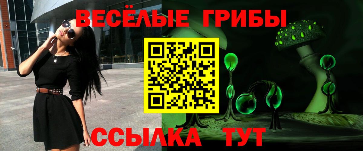 Псилоцибиновые грибы прущие грибы Ревда