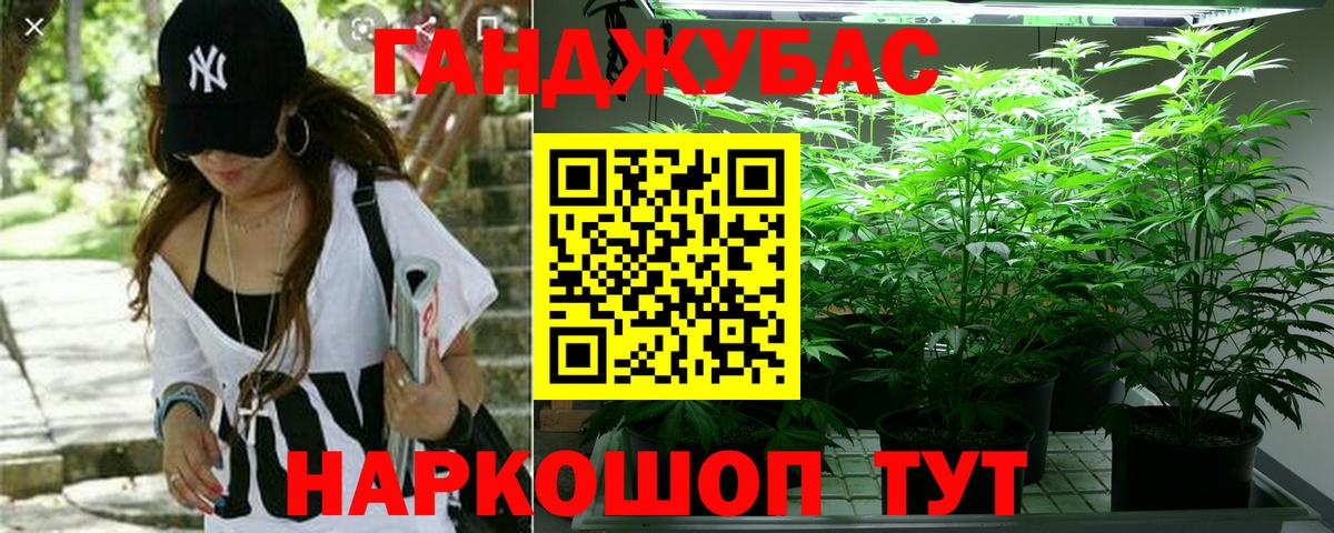 Шишки марихуана планчик  Канабис марихуана  Ревда  Вход с VPN  Каннабис планчик 